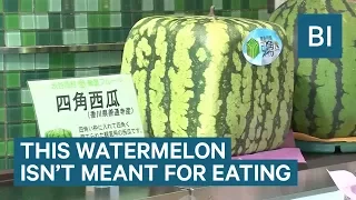 People In Japan Pay $150 For This Square Watermelon