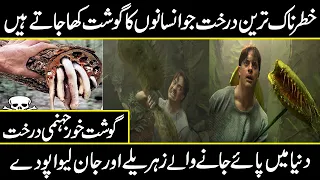 Most Dangerous Trees You Should Never Touch | Urdu cover