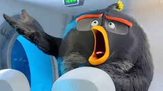 THE ANGRY BIRDS MOVIE 2 BOMB BEST MOMENTS [HD] ANIMATION MOVIE