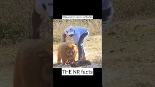 Lion Prank With Dog🤣 #shorts #shortsfeed