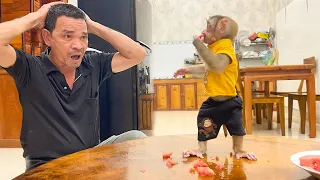 Monkey YuYu is In Trouble and asks Dad for help when Mom is Sick!