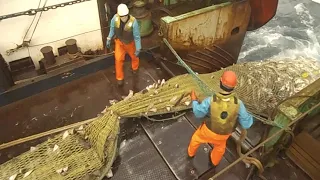 Big Net fishing, processing on a frozen fishing Boat. Modern Fish Processing & Fishing Net Video