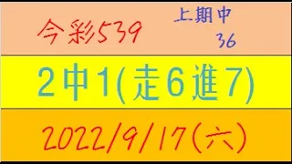 今彩539 『2中1(走6進7)』上期中36【2022年9月17日(六)】肉包先生