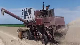 НИВА СК-5 , уборка пшеницы 2017