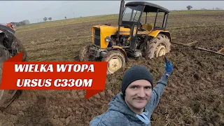 WIELKA WTOPA URSUSA C330M