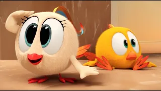 Where's Chicky? Funny Chicky 2023 | Bekky the Explorer | Cartoon in English for Kids | New episodes