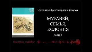 А.А. Захаров, "МУРАВЕЙ, СЕМЬЯ, КОЛОНИЯ",  ч. 1