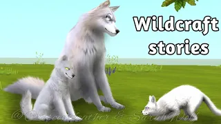 Wildcraft Storys) |The Baby fox| Desc)
