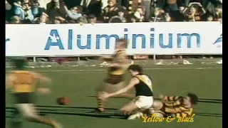 1979 VFL Round 16 Hawthorn Vs Richmond