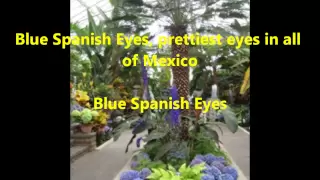 Spanish Eyes with lyrics - Engelbert Humperdinck - Maroble.com