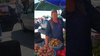 30.07.23. Цены на ярмарке в Нальчике: фрукты, овощи, вяленое мясо / Мнения продавцов и покупателей