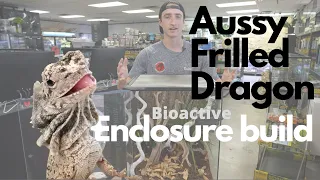 BioActive Enclosure Build for Australian Frilled Dragon