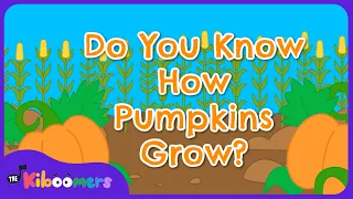 Do You Know How Pumpkins Grow - The Kiboomers Preschool Songs - Fall Circle Time Song