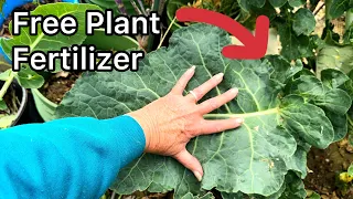 FREE Ways to Make Soil & Fertilizer for Container Gardening & in Ground to Grow Organic Food Garden