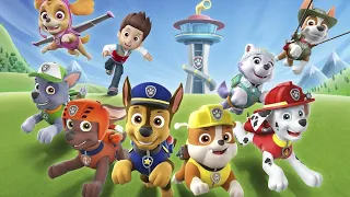 PAW Patrol ¡Rubble de PAW Patrol rescata a la Tierra! | Compilación de 1 hora | Nick Jr. en Español