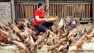 Single girl, taking care of farm animals and weeding peanuts