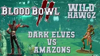 Blood Bowl 2 - Dark Elves (the Sage) vs Amazons (CW3Clare) - Wild Hawgz S2G3