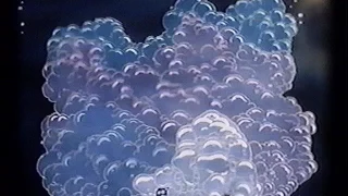 Opening To The Land Before Time 1991 VHS