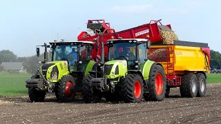 Uien opladen en inschuren. Landb. Hoekzema Alteveer.