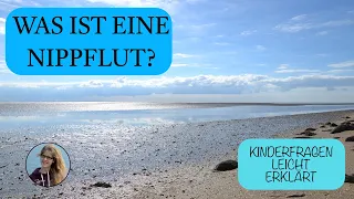 Wie entstehen Ebbe und Flut? Kinderfragen leicht erklärt