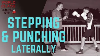 Punching and Stepping Laterally Drill