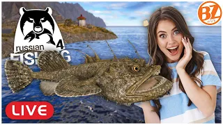 WHAT THE HECK!? OCEAN FISHING the Norwegian Sea! (RF4) l Russian Fishing 4 [LIVE]