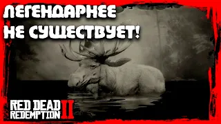 САМЫЙ ЛЕГЕНДАРНЫЙ ЛОСЬ НА ДИКОМ ЗАПАДЕ! Red Dead Redemption 2