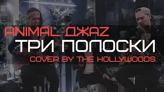 Animal ДжаZ - Три полоски (Cover by The Hollywoods)