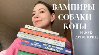 прочитанное января || 13 книг