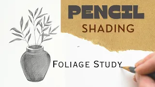 Pencil Shading in Foliage | Pencil Shading for Beginners