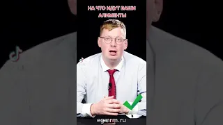 Куда идут ваши алименты