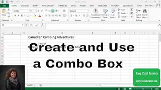 Create and Use a Combo Box in Excel