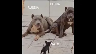 Nato: Position zu Russland und China.