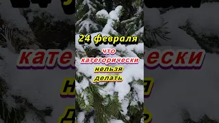 24 февраля народный праздник Власьев день. Что категорически нельзя делать. Народные приметы