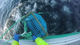 LFA34 Lobstering