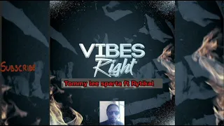 Tommy Lee Sparta ft Rytikal - Vibes Right (Official audio)