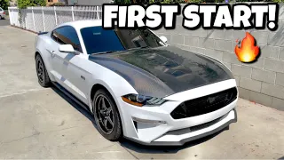 First Start Up On My Cammed 2020 Mustang GT! Worth It?!?