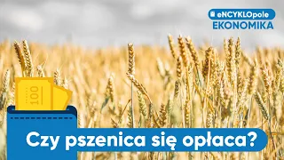 Czy uprawa pszenicy ozimej jeszcze się opłaca? Symulacja marzec 2023 vs żniwa 2022