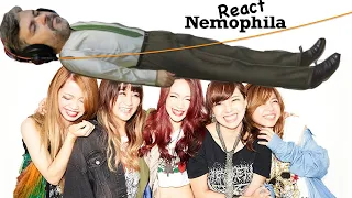 Nemophila "Oiran" [all-girl metal band from Japan]  (reaction ep 602)