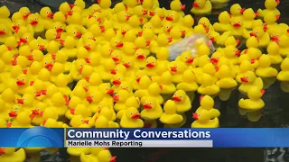 Thousands Of Rubber Ducks Race Down Minnehaha Creek