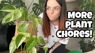 Houseplant chores ✂️ Propagating and planting 🪴