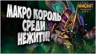 МАКРО КОРОЛЬ НЕЖИТИ: Krav (Ud) vs Thorzain (Hu) Warcraft 3 Reforged