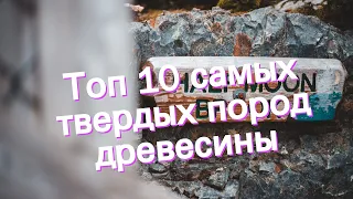 Топ 10 самых твердых пород древесины