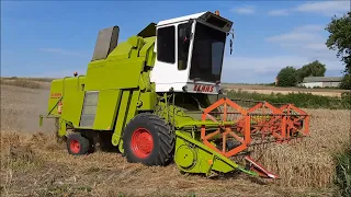 Claas Mercator 60 Żniwa 2021