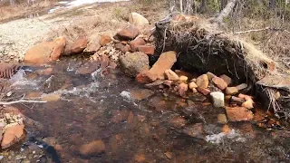 Så läser du av en guldförande bäck !