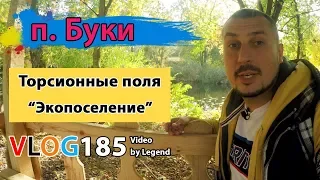 Букский каньон глазами (котиков) туриста - торсионные поля, полудикий лес и "экопоселение" (часть 1)