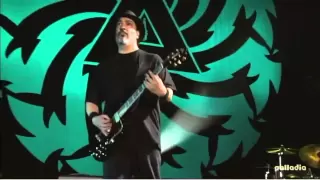 Soundgarden - Spoonman [Live Lollapalooza 2010] [HDTV]