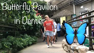 Butterfly Pavilion in Denver Colorado