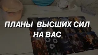 Таро расклад для мужчин. Планы Высших Сил на Вас 😍💯🔥🙏☀️