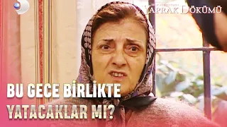 Tahsin ile Fikret Dans Etti! - Yaprak Dökümü 52. Bölüm